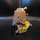 L1010345.jpg
